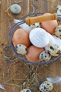 配有各种鸡蛋的篮子 烹饪 网篮 棕色的 鹅蛋 羽毛 鹌鹑蛋背景图片