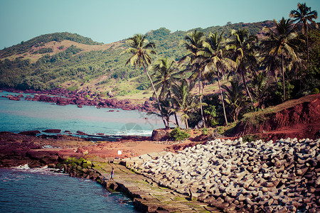 金银币印度果阿 以白湿沙和绿椰子棕榈在低潮下离开Anjuna海滩全景 海洋 岩石背景