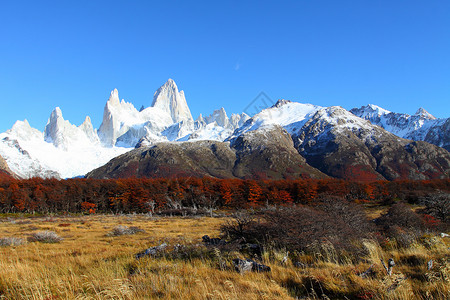 秋天卡拉法特阿根廷巴塔哥尼亚国家公园所见菲茨罗伊山的美丽自然景观 夏天 全景背景