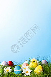 复活节贺卡 草 花 卡片 庆典 小鸡 华丽的 雏菊背景图片
