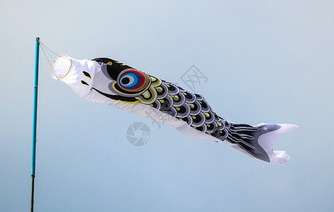 天空中鱼素材日本鱼尾风袜旗背景