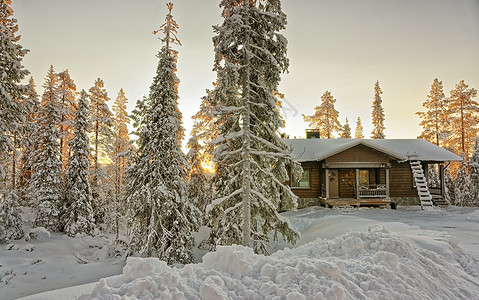 日落时雪寒冬林的隐居图片