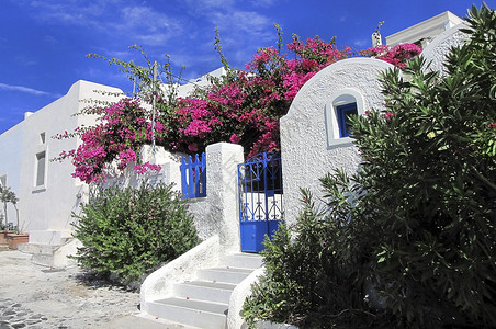 竖形蓝色希腊圣托里尼岛的图片形视图 天空 教会 花 自然背景
