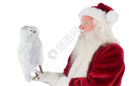 圣诞老人有猫头鹰 化装舞会服装 白色的 喜庆 红色的 喜庆的背景图片