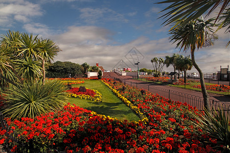 海边的Clacton花园背景图片