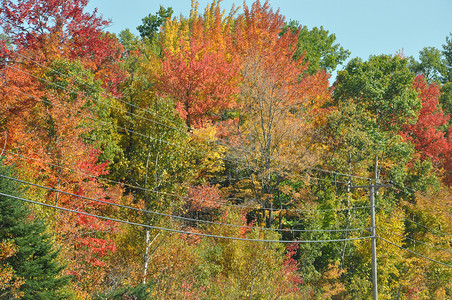 新罕布什尔州白山国家森林瀑布颜色组织 风景高清图片