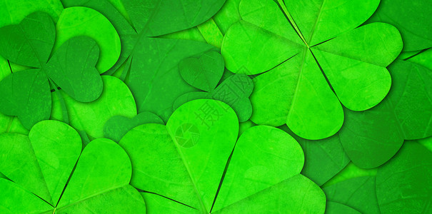沙姆岩模式 爱尔兰 假期 计算机绘图 绿色的 圣帕特里克 庆典 三叶草背景图片