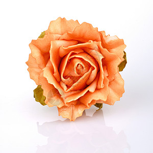 橙玫瑰 庆祝活动 白色的 爱 情人节 假期 黄色的背景图片