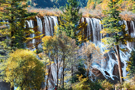 诺日朗瀑布旅游者参观了Jiuzhaigou国家公园的Nuorilang瀑布背景