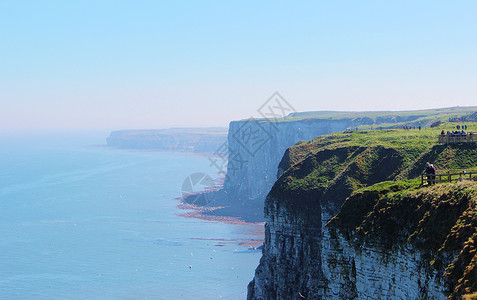 克利珀顿鸟类海景高清图片