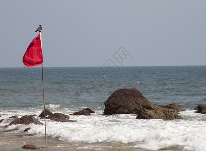 金银币红旗 上面有鸟儿坐着的红旗 GOA 印度海滩背景
