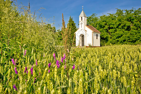 农村农业地貌的天主教公堂背景图片