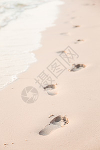 海滩上的脚印 夏天 支撑 海滨 旅行 走 孤独 假期背景图片