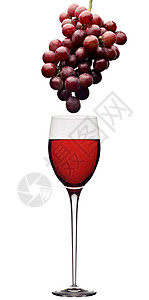 西拉子葡萄紫色的红酒杯高清图片