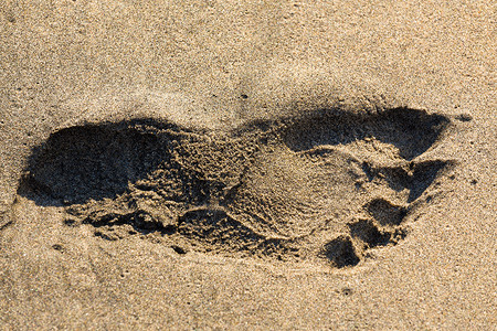 沙中脚印 烙印 海岸 放松 印度尼西亚 打印图片