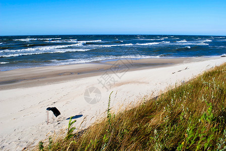 波罗的海 海的 深的 沿海的 海岸 假期背景图片