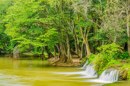 瀑布 溪流 泡沫 国家公园 雨季 荒野 地标 泰国 树图片