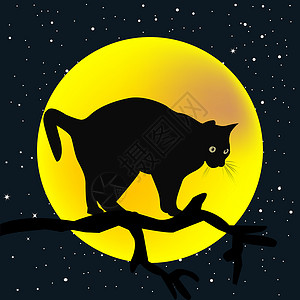 看星星的猫月亮背景有猫的树枝背景