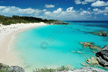 百慕大群岛粉色海滩高清图片