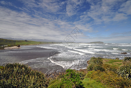 秋风拂过秋风角 新西兰 沿海 海岸 海景 海豹 悬崖 海洋 浪潮 旅行背景