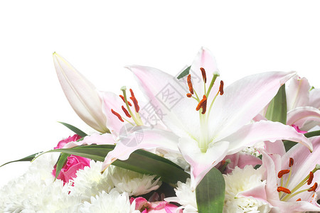 花束花 粉色的 白色的 生日 情人节 美丽的 菊花 百合图片