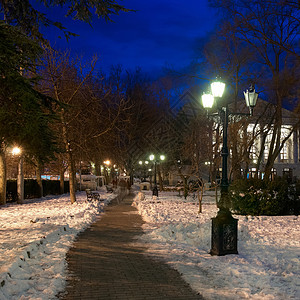 城市夜间现场 自然 公园 树 蓝色的 假期 湿的 季节背景图片