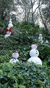 森林中雪人的详细情况 霜 滚雪球 胡萝卜 庆典 冬天背景图片