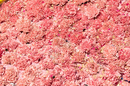 粉红花花团背景图片