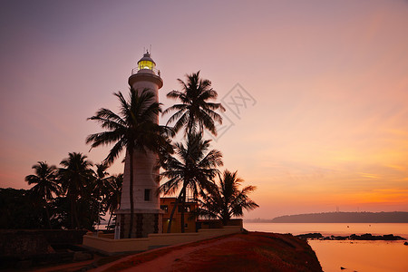 海岸灯塔素材灯塔 树 信号 支撑 建筑 亚洲 棕榈 热带气候 假期背景