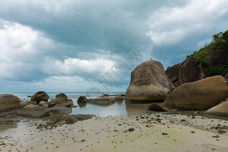 水晶湾 银滩 美丽的 树 放松 海 岩石 海滩 天空背景图片