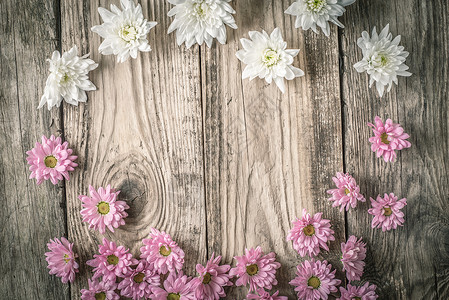 木制背景水平的白花和粉红花边框背景图片