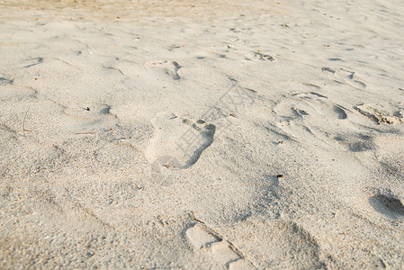 海滩上的脚印 户外的 打印 支撑 热带 海岸 走背景图片
