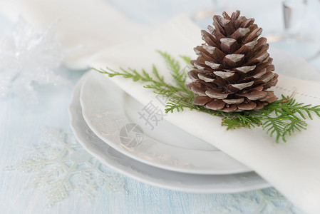 美丽的圣诞餐桌 新年 餐厅 餐巾 坚果松 针叶 午餐 菜单背景图片