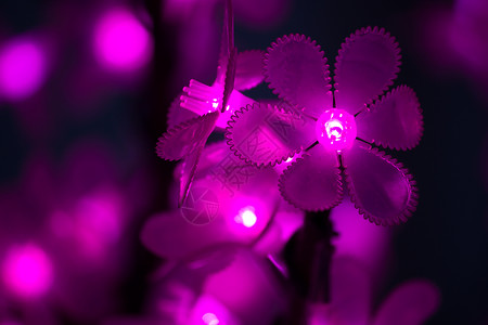 鲜花形式的LED灯光背景图片