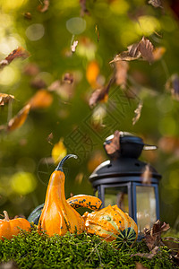 秋季概念 感恩 万圣节 静物 庆祝活动 户外的 灯笼 叶子背景图片