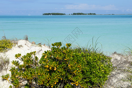 古巴海滩 海洋 摄影 自然 寂寞 旅行 场景 假期高清图片