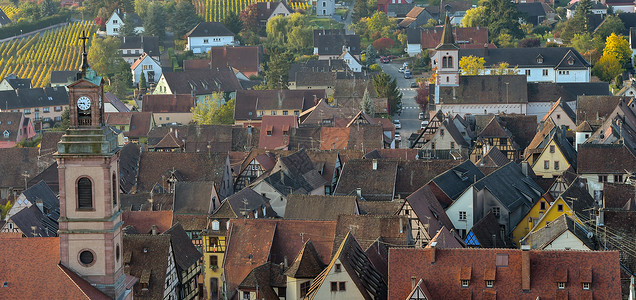 Alsace村 法国Riquewhir葡萄园 住宅 农村图片