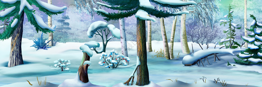 寒冷的冬季森林 全景背景图片