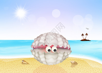 沙滩上贝壳里的牡蛎 快乐 螃蟹 水 热带图片