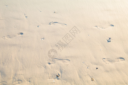 海滩上沙沙滩上的人类脚印图片