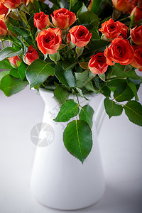 白色背景的红玫瑰鲜红色大布束背景图片