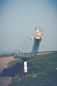带花的孤单公园长椅 秋天 阳光 植物 天 家具背景图片