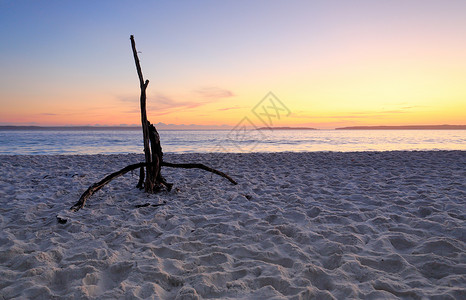 在海姆斯海滩的黎明 Jervis湾背景