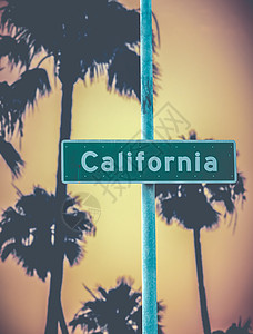 从旧金山到洛杉矶标志和棕榈背景