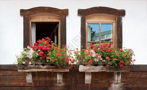 旧楼的旧窗户和鲜花背景图片