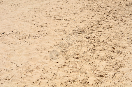 作为背景的砂纹理 金子 热带 美丽 沙漠 海滩 空的背景图片