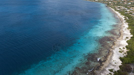 博内尔岛加勒比海 Bonaire 异国情调 夏天背景