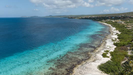 博内尔岛加勒比海 Bonaire 自然 风景优美的背景