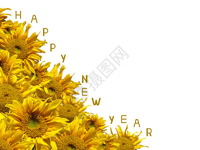 新年向日葵快乐 白色的 花 剪裁 假期 季节背景图片