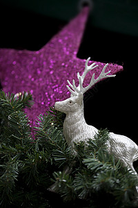 圣诞节装饰 有恒星和鹿背景图片